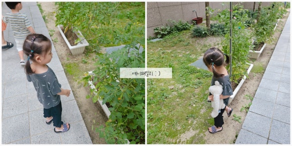 커스텀커피길음센터피스점 이미지