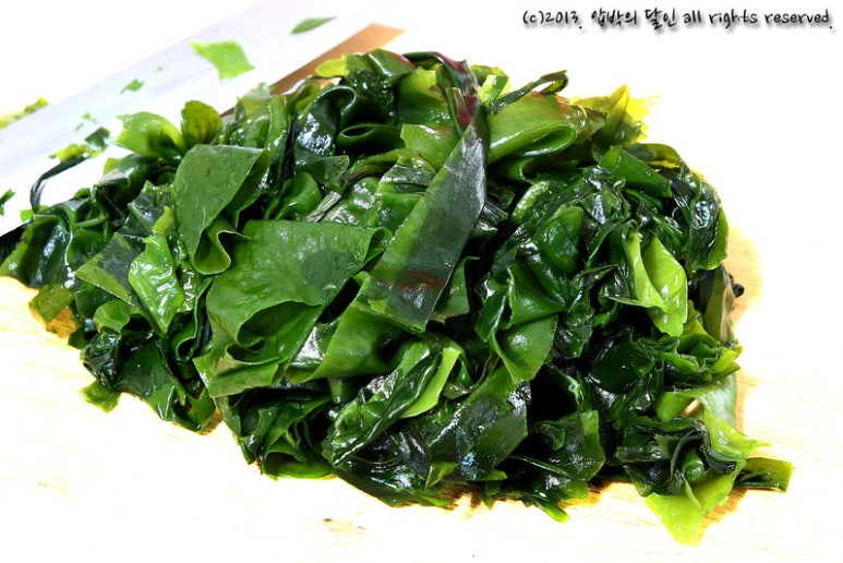돼지물고기 이미지