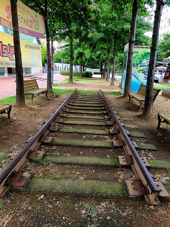대구선동촌공원 이미지