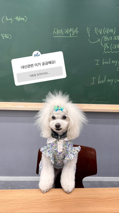 아이디인스트 이미지
