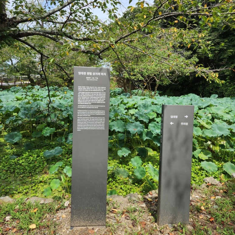 봉정상사 이미지