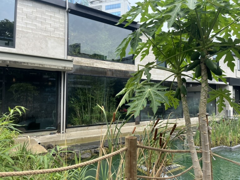 카페댕하우스 이미지