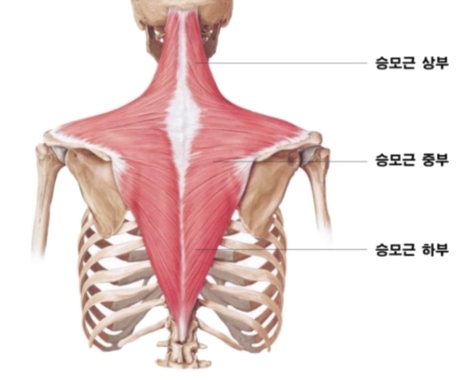 호호필라테스 장산점 이미지