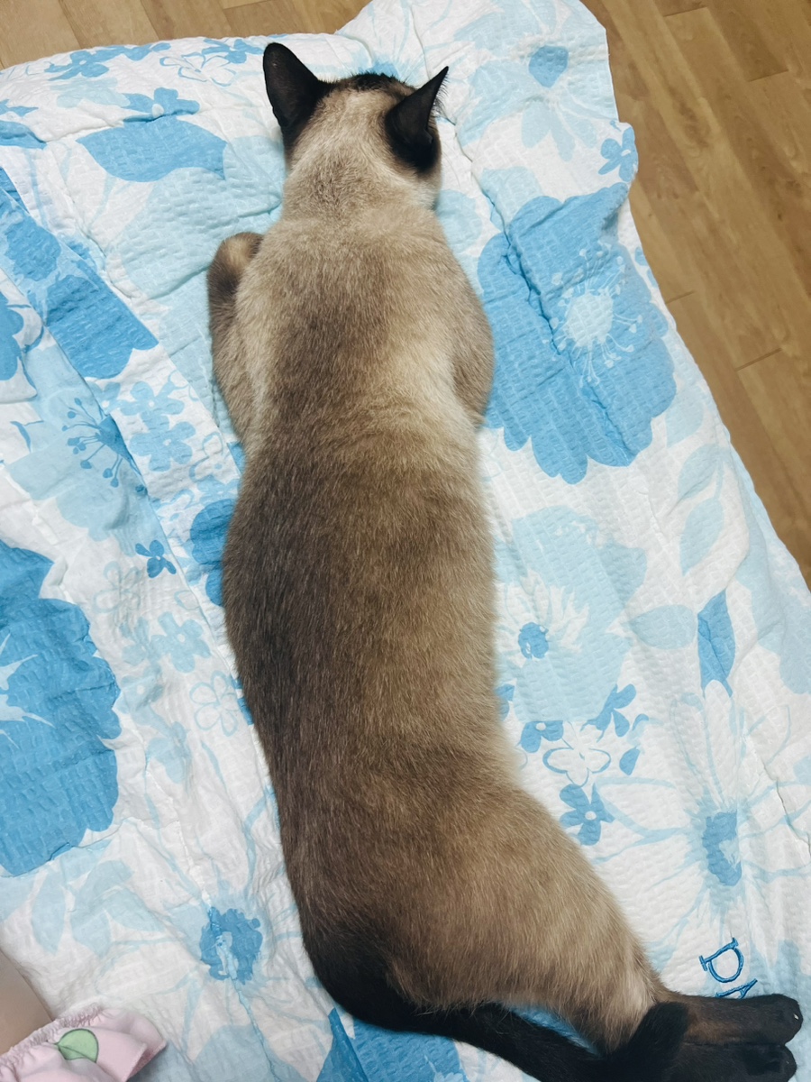 파리바게뜨마산호계점 이미지
