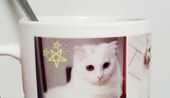 또또인쇄 이미지