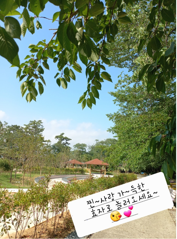 우하주 이미지