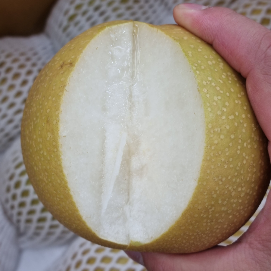 한아름청과 이미지