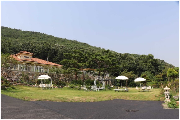 마니산도토리 이미지