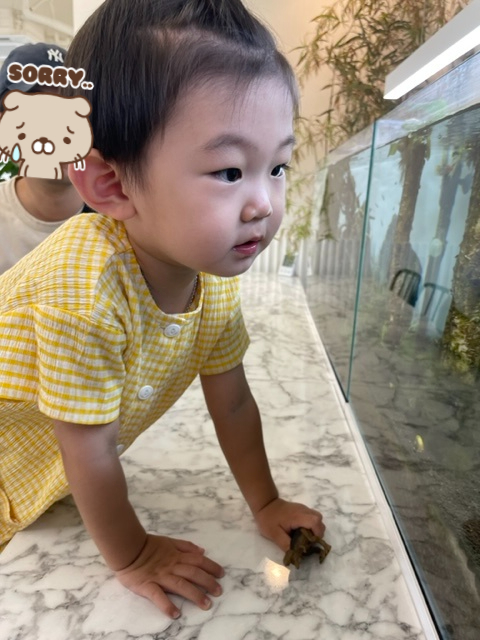 메리네카페 이미지