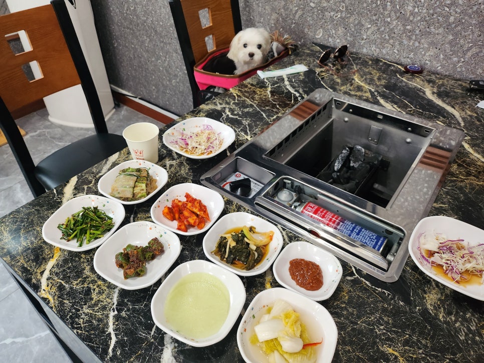 오리덕후 이미지