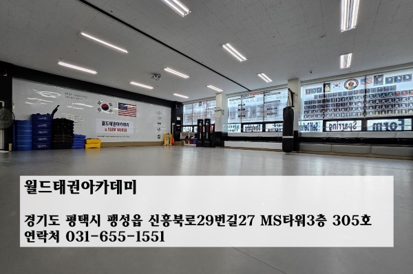 태권월드스포츠 이미지