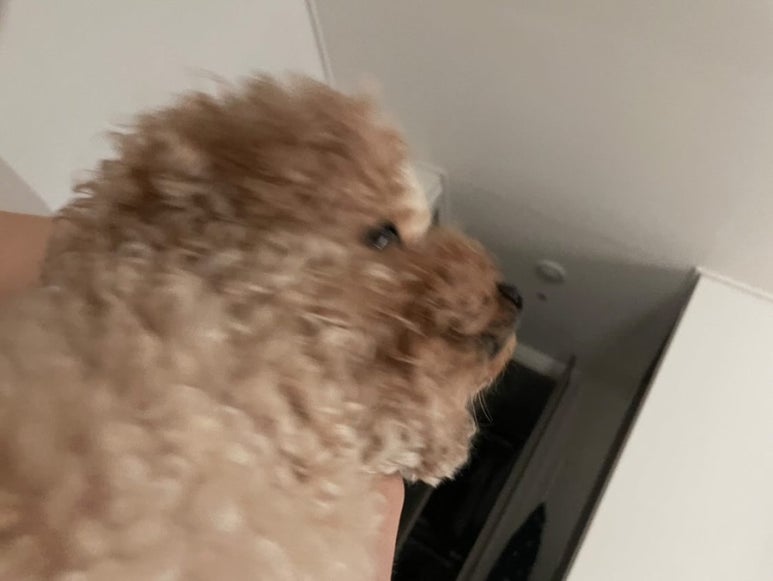 흥원식당 이미지
