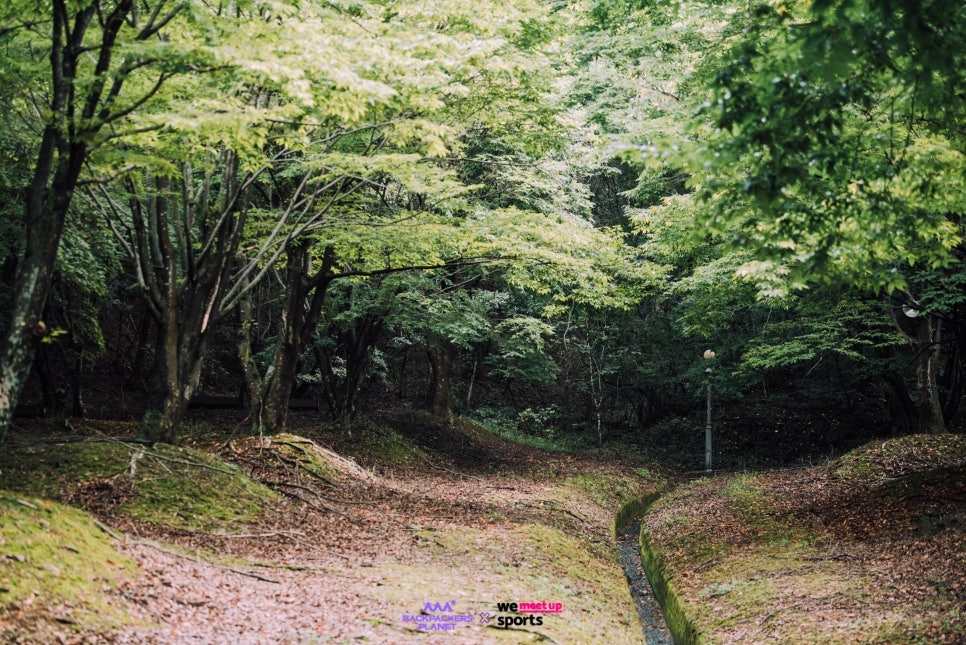 플래닛가야 이미지