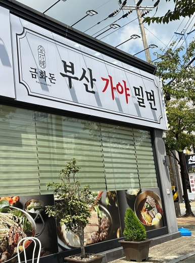 삼천포금화돈 이미지