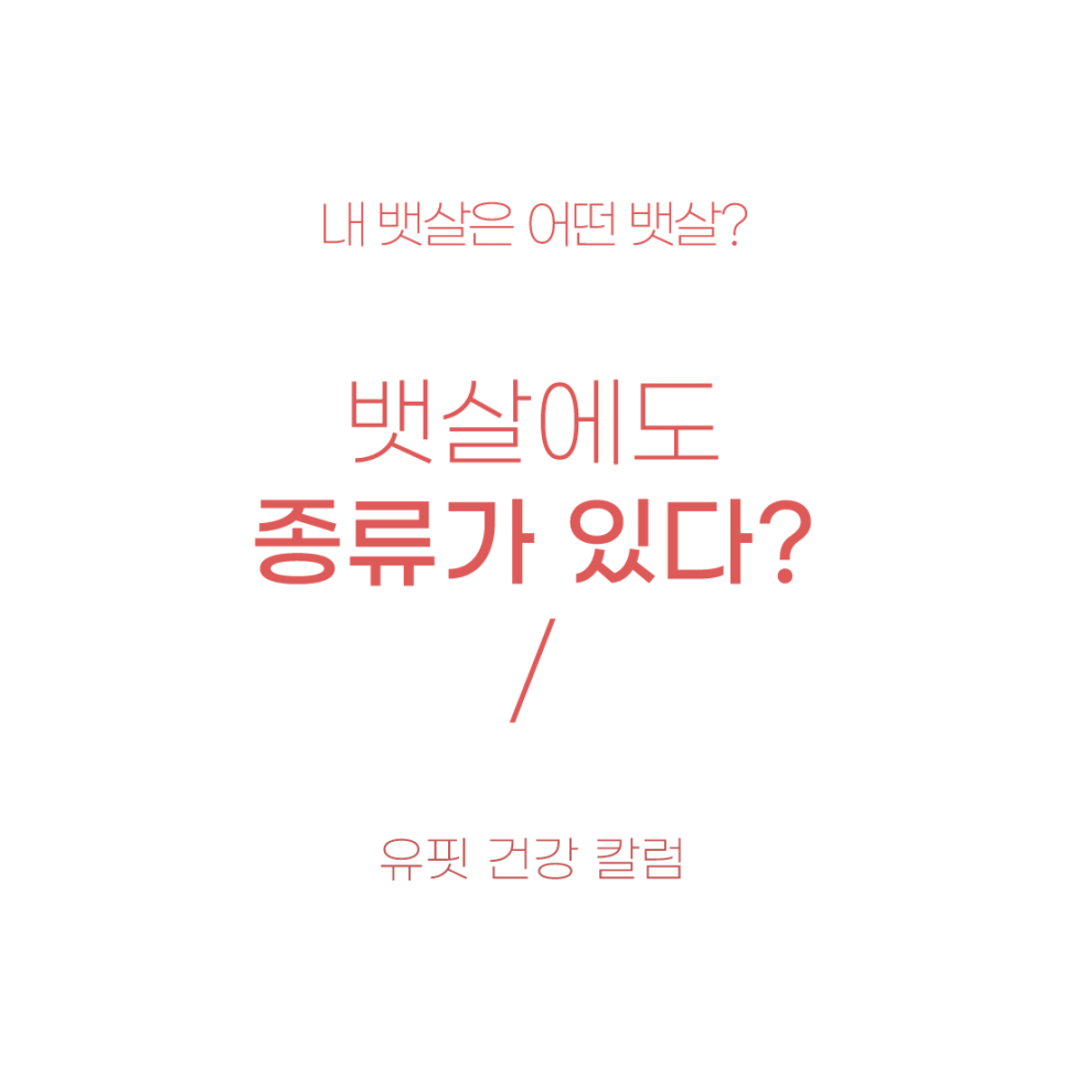 유핏 이미지