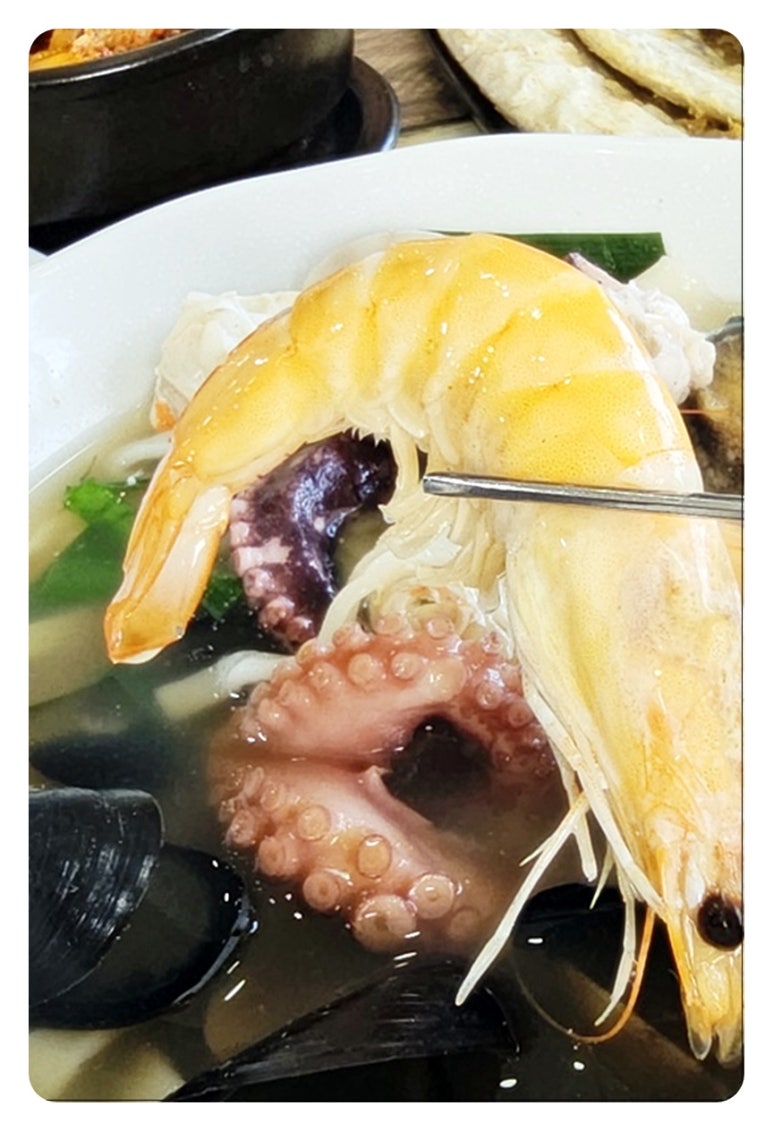 바다면발 이미지