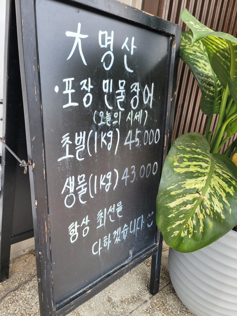 대명산 민물장어 이미지