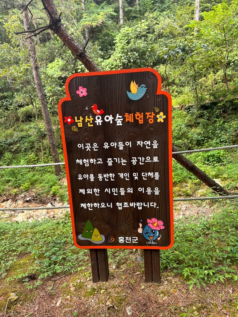 남산 유아숲체험원 이미지