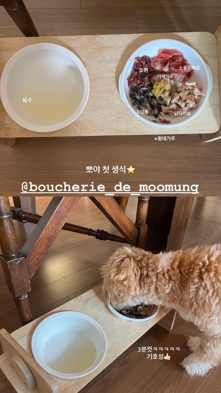 무뭉이네 이미지
