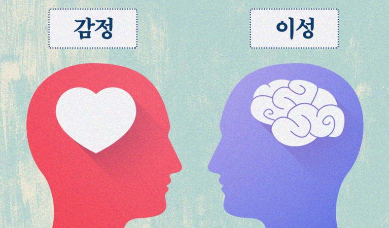 파라칼레오 이미지