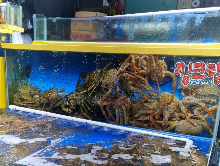 공룡수산식당 이미지