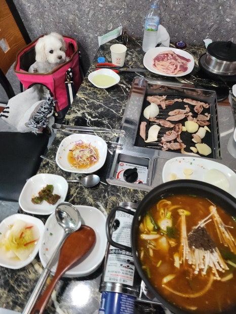 오리덕후 이미지