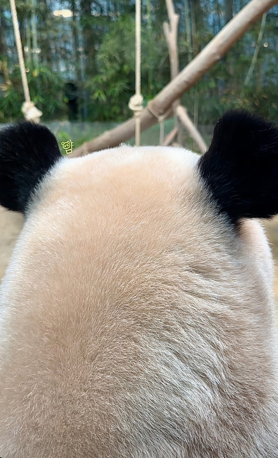 꽉.깔끔 이미지
