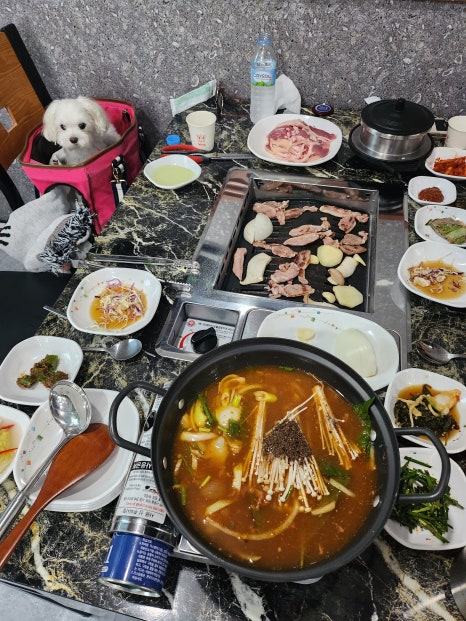 오리덕후 이미지