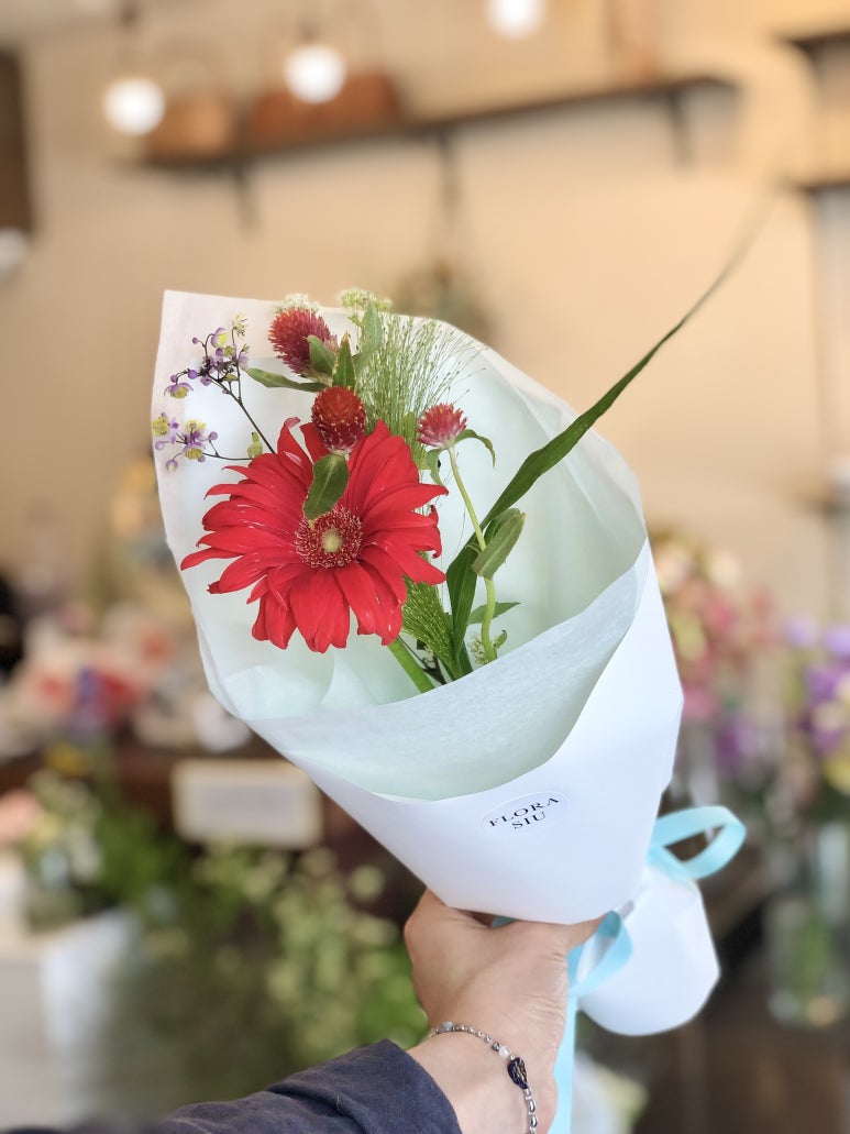 플로라시우 이미지