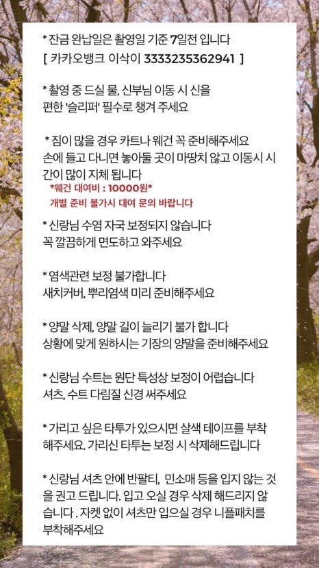 알레그라피 이미지