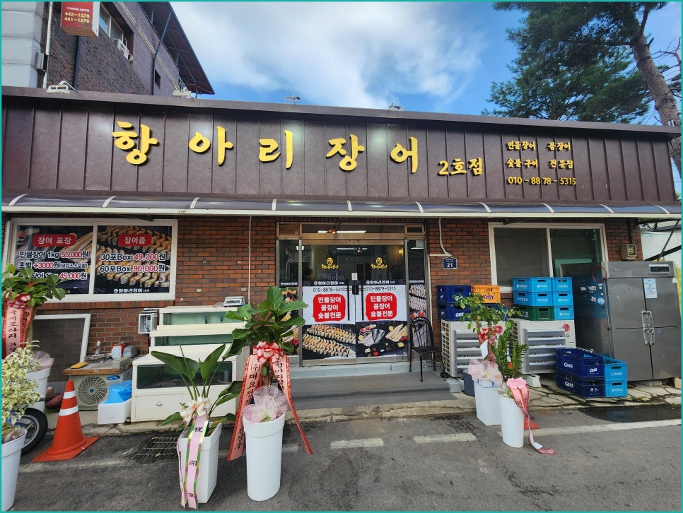 항아리장어 이미지
