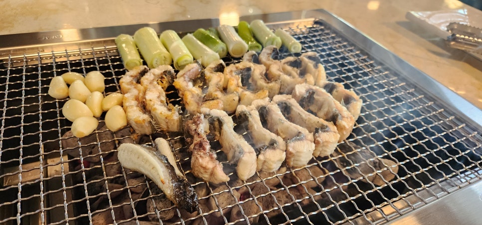 황금민물장어 이미지