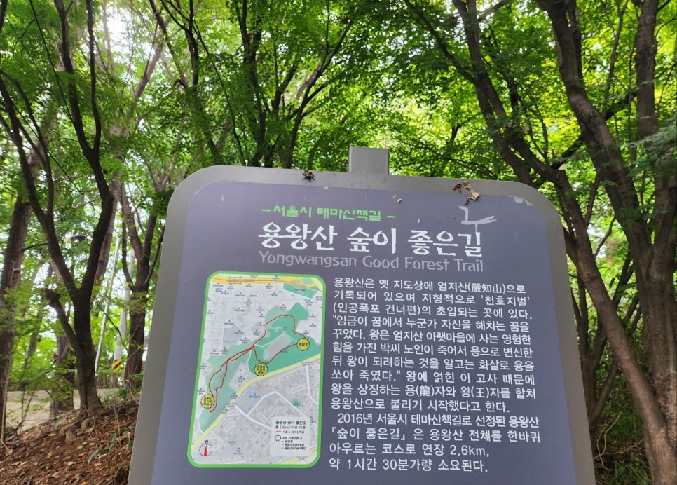 산책길 이미지