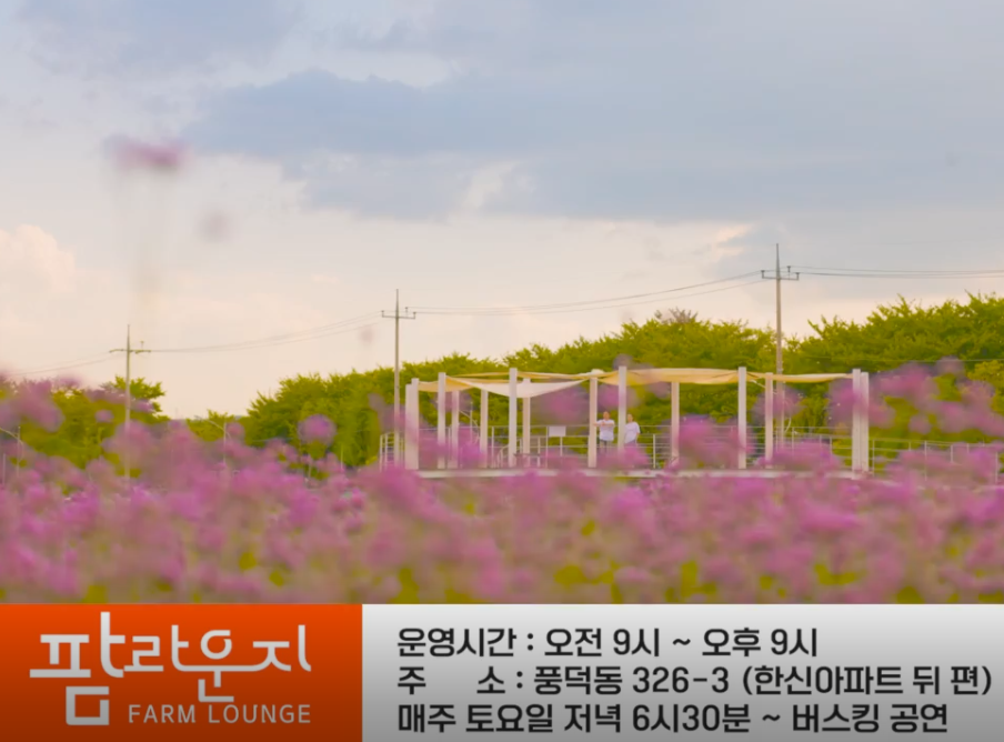 낭만라운지 이미지