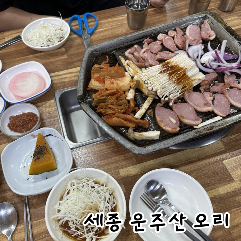 운주산오리 이미지