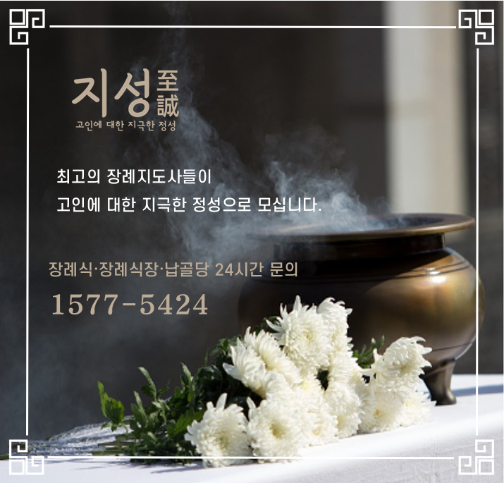 지성병원 이미지