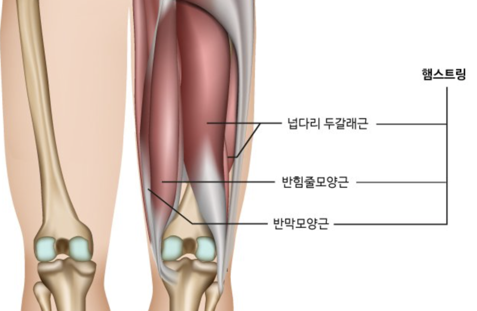 약손율려 이미지