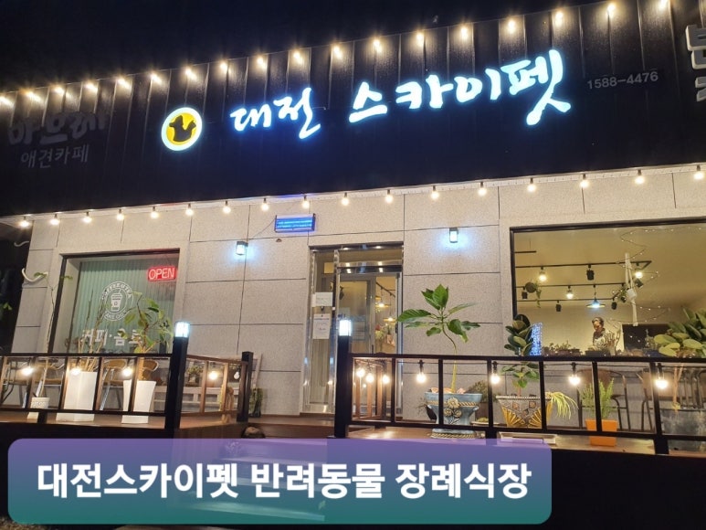 대전스카이펫 이미지