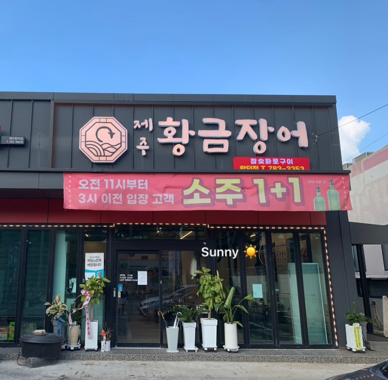 제주황금장어 이미지