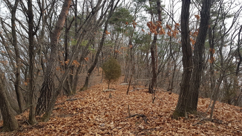 농업회사법인정이가(주) 이미지