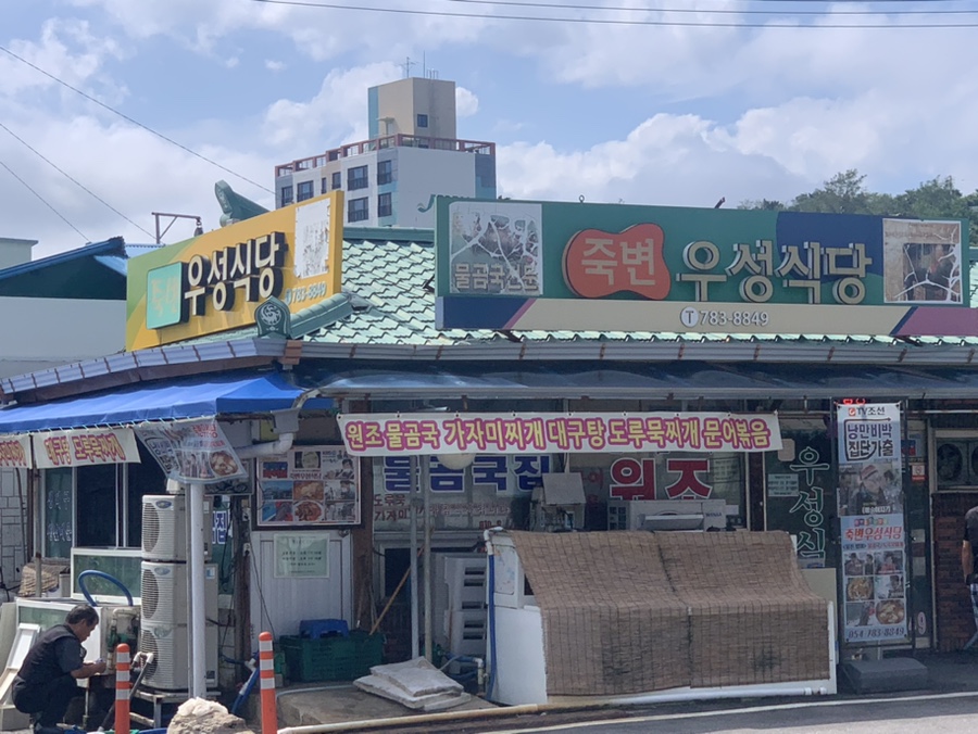 우성반점 이미지