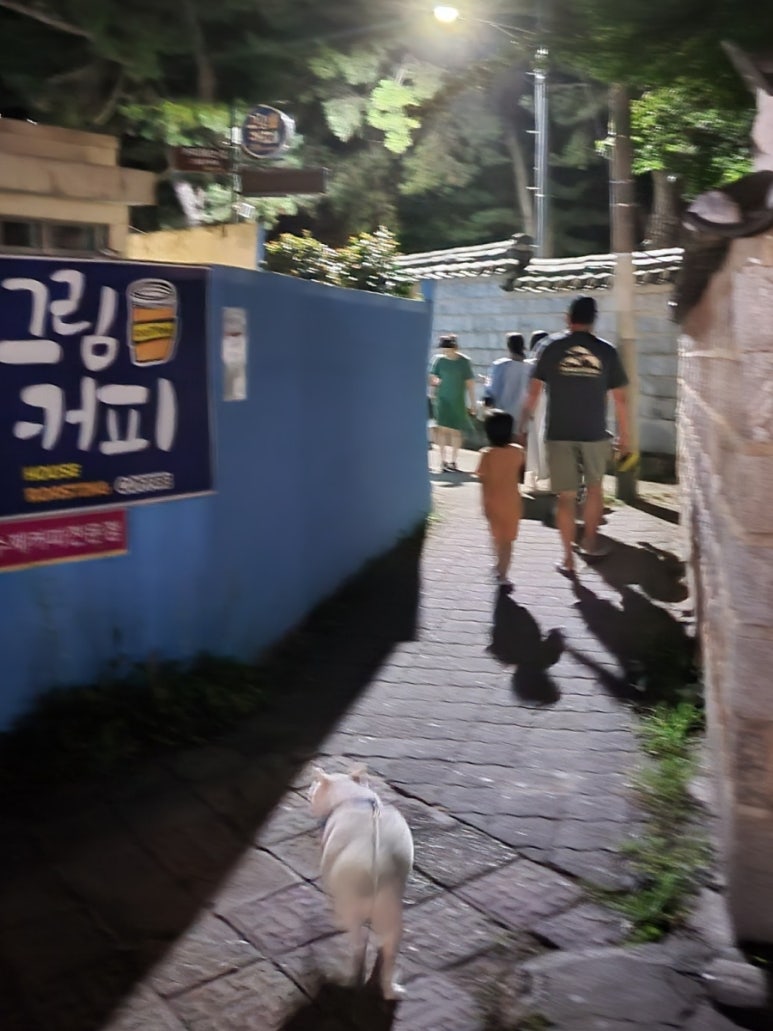인지솔카페 이미지