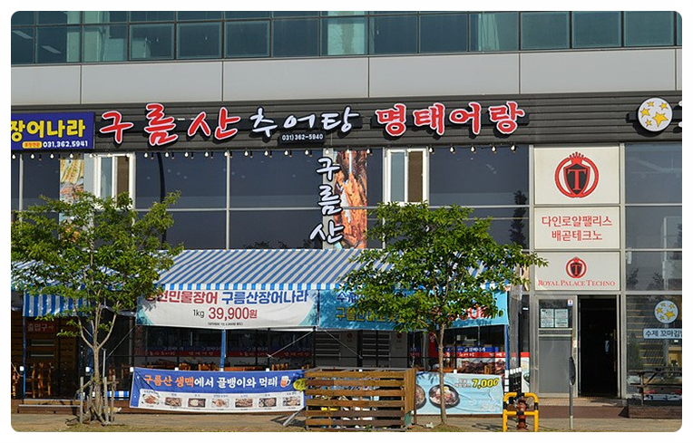 장어나라 이미지