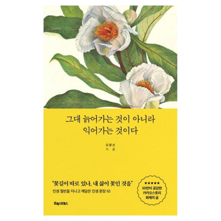 빵박스 이미지