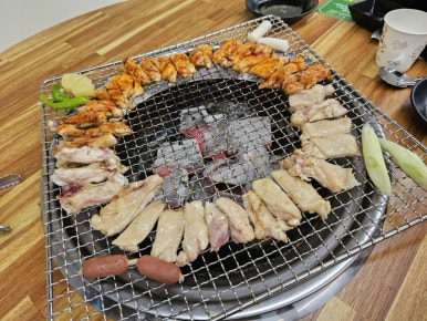 (주)공룡투어 이미지