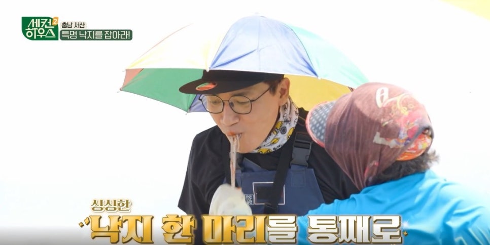 낙지하우스 이미지