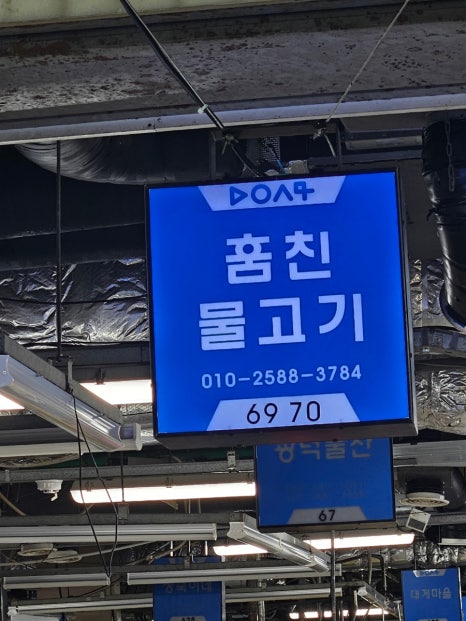 훔친물고기오늘바다에서 이미지