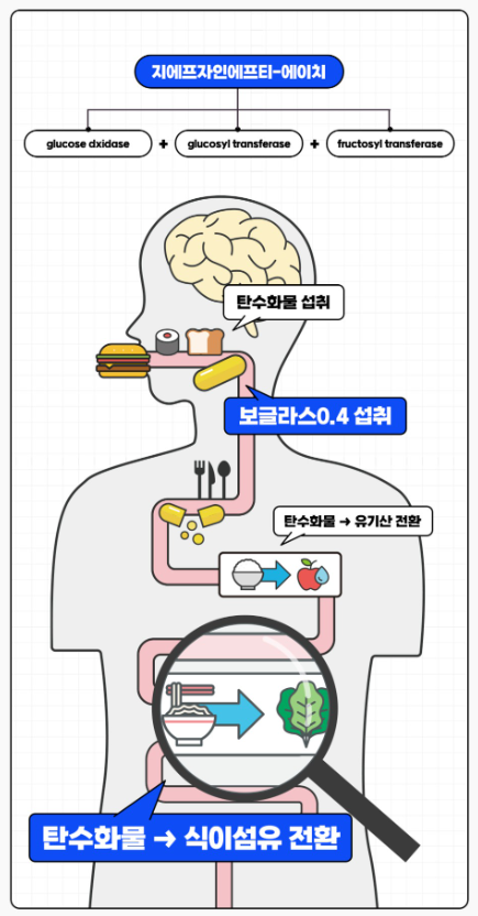 에이치팜 이미지