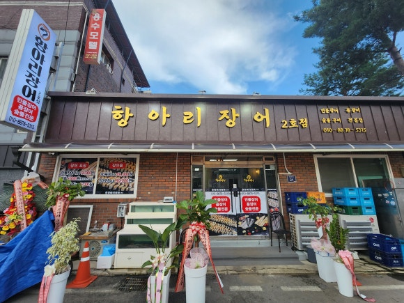항아리장어 이미지
