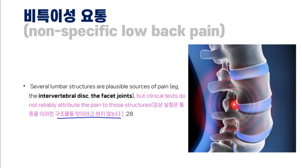 김나시온 이미지